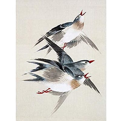 Wee Blue Coo Okamoto Birds Japanese Unframed Art Print Poster Wall Decor 12X16 Inch Wee Blue Coo Okamoto Birds Japanese Unframed Art Print Poster Wall Decor 12X16 Inch