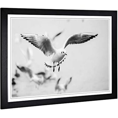 Big Box Art Framed Print of Seagulls Birds Design Wall Art Picture Home Decor for Kitchen, Living, Dining Room, Lounge, Bedroom, Hallway, Office, Black, A2 / 24.5x18 Inch / 62x45cm Big Box Art Framed Print of Seagulls Birds Design Wall Art Picture Home Decor for Kitchen, Living, Dining Room, Lounge, Bedroom, Hallway, Office, Black, A2 / 24.5x18 Inch / 62x45cm