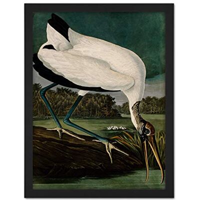 Artery8 Audubon Birds Wood Ibis Painting Artwork Framed Wall Art Print 18X24 Inch Artery8 Audubon Birds Wood Ibis Painting Artwork Framed Wall Art Print 18X24 Inch