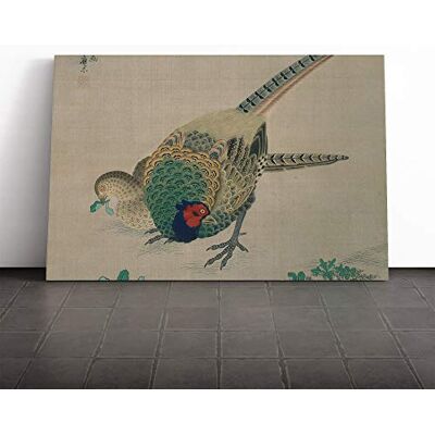 Big Box Art Maruyama okyo Bird Japanese Oriental Canvas Print Gallery Wrapped 30mm Frame Wall Art 30x20 inches Ready to Hang Asian Animals Picture Living Room Bedroom Lounge Office Big Box Art Maruyama okyo Bird Japanese Oriental Canvas Print Gallery Wrapped 30mm Frame Wall Art 30x20 inches Ready to Hang Asian Animals Picture Living Room Bedroom Lounge Office