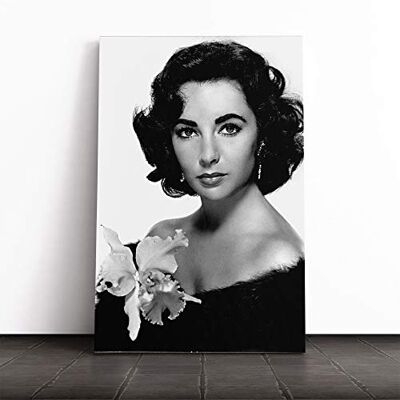 Big Box Art Elizabeth Taylor Canvas Wall Art Print 20x14 Inch Big Box Art Elizabeth Taylor Canvas Wall Art Print 20x14 Inch