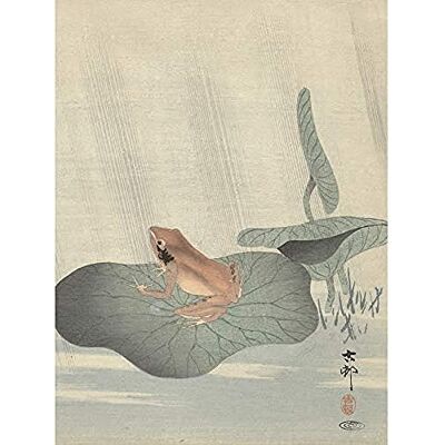 Artery8 Ohara Koson Frog Lotus Leaf Pond Japanese Painting Art Print Canvas Premium Wall Decor Poster Mural Artery8 Ohara Koson Frog Lotus Leaf Pond Japanese Painting Art Print Canvas Premium Wall Decor Poster Mural