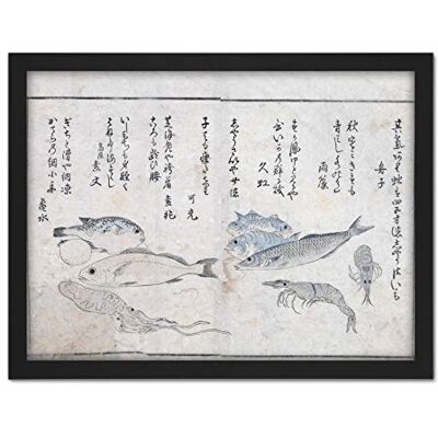 Artery8 Masayoshi Sea Animals Fish Japanese Painting Artwork Framed Wall Art Print 18X24 Inch Artery8 Masayoshi Sea Animals Fish Japanese Painting Artwork Framed Wall Art Print 18X24 Inch