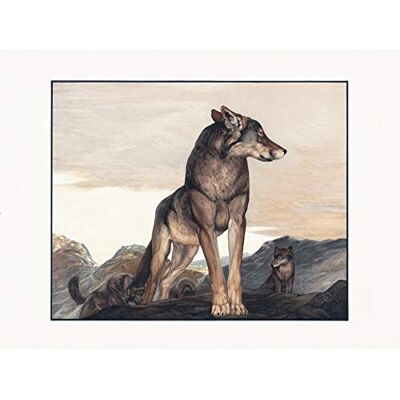 Fine Art Prints Detmold Akela Lone Wolf Jungle Book Painting Unframed Wall Art Print Poster Home Decor Premium Fine Art Prints Detmold Akela Lone Wolf Jungle Book Painting Unframed Wall Art Print Poster Home Decor Premium