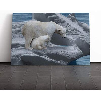 Big Box Art Wild Polar Bear (2) Canvas Print Gallery Wrapped 30mm Frame Wall Art 24x16 inches Ready to Hang Modern Animals Picture Living Room Bedroom Lounge Office Big Box Art Wild Polar Bear (2) Canvas Print Gallery Wrapped 30mm Frame Wall Art 24x16 inches Ready to Hang Modern Animals Picture Living Room Bedroom Lounge Office