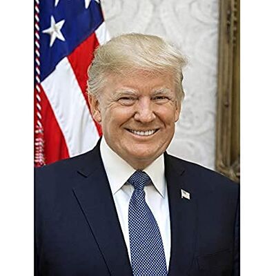 Artery8 Craighead Portrait US President Donald Trump Photo Art Print Canvas Premium Wall Decor Poster Mural Artery8 Craighead Portrait US President Donald Trump Photo Art Print Canvas Premium Wall Decor Poster Mural
