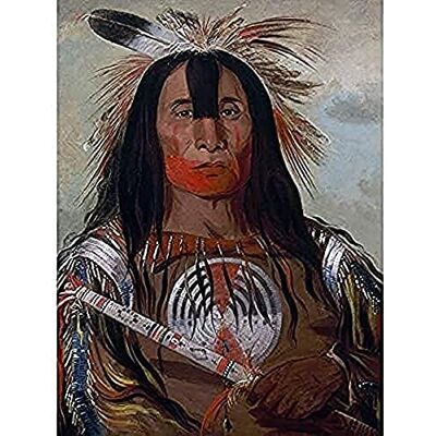 Fine Art Prints Catlin Buffalo Bulls Back Fat Blood Native American Portrait Unframed Wall Art Print Poster Home Decor Premium Fine Art Prints Catlin Buffalo Bulls Back Fat Blood Native American Portrait Unframed Wall Art Print Poster Home Decor Premium