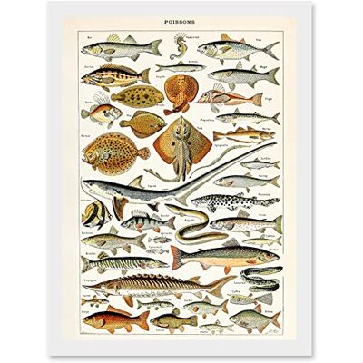 Artery8 - Millot Encyclopedia - A4 - Wall Art Print Artery8 - Millot Encyclopedia - A4 - Wall Art Print