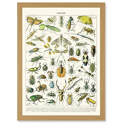 Artery8 - Millot Encyclopedia - A4 - Light Oak - Wall Art Artery8 - Millot Encyclopedia - A4 - Light Oak - Wall Art