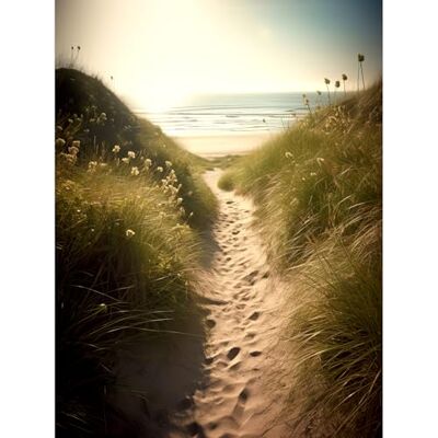 Artery8 Summer Beach Path Photograph Bright Sunny Sandy Coastal Landscape Seascape Extra Large XL Wall Art Poster Print Artery8 Summer Beach Path Photograph Bright Sunny Sandy Coastal Landscape Seascape Extra Large XL Wall Art Poster Print