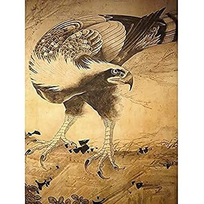 Fine Art Prints Shohaku Hawk Bird Japanese Painting Art Print Canvas Premium Wall Decor Poster Mural Fine Art Prints Shohaku Hawk Bird Japanese Painting Art Print Canvas Premium Wall Decor Poster Mural