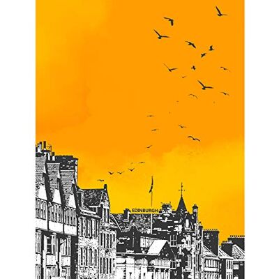 Wee Blue Coo Rooftop Birds Edinburgh Large Wall Art Print 24X32 Wee Blue Coo Rooftop Birds Edinburgh Large Wall Art Print 24X32