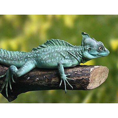 Wee Blue Coo Photograph Nature Animal Lizard Reptile Plumed Basilisk Art Print Poster Wall Decor 12X16 Inch Wee Blue Coo Photograph Nature Animal Lizard Reptile Plumed Basilisk Art Print Poster Wall Decor 12X16 Inch