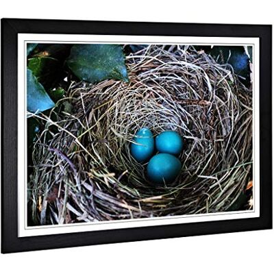 Big Box Art Framed Print of Birds Nest Duck Egg Blue Design Wall Art Picture Home Decor for Kitchen, Living, Dining Room, Bedroom, Hallway, Office, Black, A2 / 24.5x18 Inch / 62x45cm Big Box Art Framed Print of Birds Nest Duck Egg Blue Design Wall Art Picture Home Decor for Kitchen, Living, Dining Room, Bedroom, Hallway, Office, Black, A2 / 24.5x18 Inch / 62x45cm