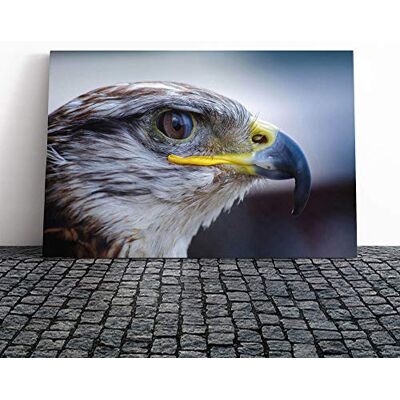 Big Box Art Falcon Bird (2) Canvas Print Gallery Wrapped 30mm Frame Wall Art 20x14 inches Ready to Hang Modern Animals Picture Living Room Bedroom Lounge Office Big Box Art Falcon Bird (2) Canvas Print Gallery Wrapped 30mm Frame Wall Art 20x14 inches Ready to Hang Modern Animals Picture Living Room Bedroom Lounge Office