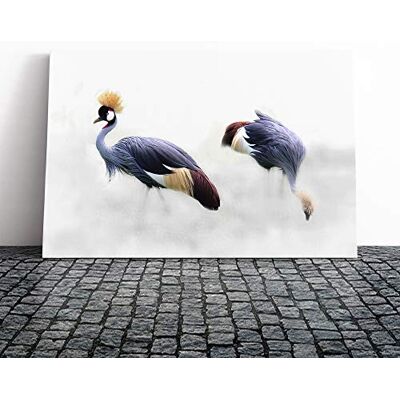 Big Box Art Grey Crowned Cranes Bird Canvas Print Gallery Wrapped 30mm Frame Wall Art 20x14 inches Ready to Hang Modern Animals Picture Living Room Bedroom Lounge Office Big Box Art Grey Crowned Cranes Bird Canvas Print Gallery Wrapped 30mm Frame Wall Art 20x14 inches Ready to Hang Modern Animals Picture Living Room Bedroom Lounge Office