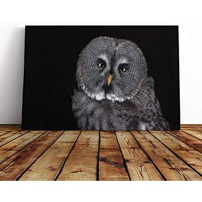 Big Box Art Owl Bird (2) Canvas Print Gallery Wrapped 30mm Frame Wall Art 30x20 inches Ready to Hang Modern Animals Picture Living Room Bedroom Lounge Office Big Box Art Owl Bird (2) Canvas Print Gallery Wrapped 30mm Frame Wall Art 30x20 inches Ready to Hang Modern Animals Picture Living Room Bedroom Lounge Office