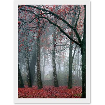 Artery8 - Nature Forest Tree Red - Framed - A4 - Wall Art Artery8 - Nature Forest Tree Red - Framed - A4 - Wall Art
