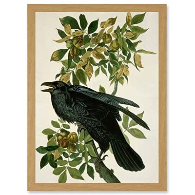Artery8 - Audubon - A4 - Framed Wall Art Artery8 - Audubon - A4 - Framed Wall Art