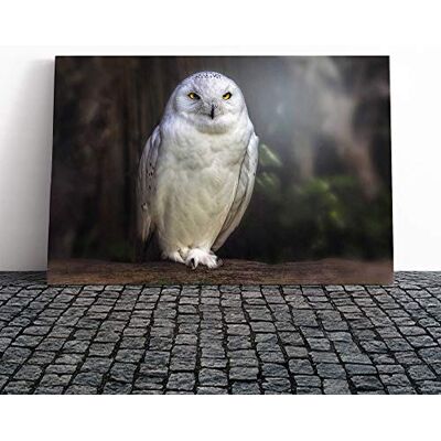 Big Box Art Raptor Owl Bird Canvas Print Gallery Wrapped 30mm Frame Wall Art 30x20 inches Ready to Hang Modern Animals Picture Living Room Bedroom Lounge Office Big Box Art Raptor Owl Bird Canvas Print Gallery Wrapped 30mm Frame Wall Art 30x20 inches Ready to Hang Modern Animals Picture Living Room Bedroom Lounge Office