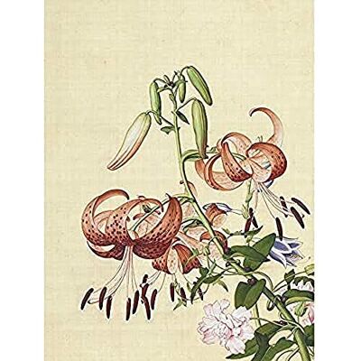 Fine Art Prints Castiglione Lilies Flower Plant Painting Unframed Wall Art Print Poster Home Decor Premium Fine Art Prints Castiglione Lilies Flower Plant Painting Unframed Wall Art Print Poster Home Decor Premium