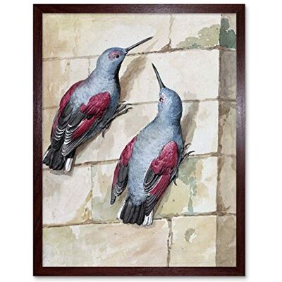 Artery8 Schouman Wallcreeper Birds Blue Purple Drawing Art Print Framed Poster Wall Decor 12x16 inch Artery8 Schouman Wallcreeper Birds Blue Purple Drawing Art Print Framed Poster Wall Decor 12x16 inch
