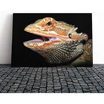 Big Box Art Bearded Dragon Lizard Canvas Print Gallery Wrapped 30mm Frame Wall Art 20x14 inches Ready to Hang Modern Animals Picture Living Room Bedroom Lounge Office Big Box Art Bearded Dragon Lizard Canvas Print Gallery Wrapped 30mm Frame Wall Art 20x14 inches Ready to Hang Modern Animals Picture Living Room Bedroom Lounge Office