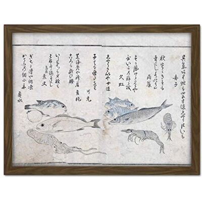 Artery8 Masayoshi Sea Animals Fish Japanese Painting Artwork Framed Wall Art Print 18X24 Inch Artery8 Masayoshi Sea Animals Fish Japanese Painting Artwork Framed Wall Art Print 18X24 Inch