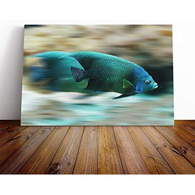 Big Box Art Blue Fish Canvas Print Gallery Wrapped 30mm Frame Wall Art 24x16 inches Ready to Hang Modern Animals Picture Living Room Bedroom Lounge Office Big Box Art Blue Fish Canvas Print Gallery Wrapped 30mm Frame Wall Art 24x16 inches Ready to Hang Modern Animals Picture Living Room Bedroom Lounge Office