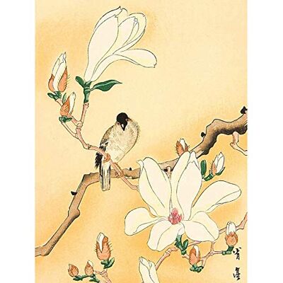 Fine Art Prints Seitei Bird Magnolia Branch Japanese Painting Extra Large XL Wall Art Poster Print Fine Art Prints Seitei Bird Magnolia Branch Japanese Painting Extra Large XL Wall Art Poster Print