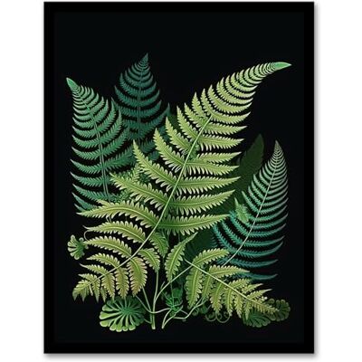 Wee Blue Coo Fern Fronds Botanical Nature Elegant Foliage Artwork Green on Black Artwork Framed Wall Art Print 18X24 Inch Wee Blue Coo Fern Fronds Botanical Nature Elegant Foliage Artwork Green on Black Artwork Framed Wall Art Print 18X24 Inch