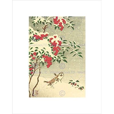 Wee Blue Coo Nature Japan Sparrow Snow Ohara Koson Picture Wall Art Print Wee Blue Coo Nature Japan Sparrow Snow Ohara Koson Picture Wall Art Print