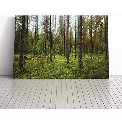 Big Box Art Landscape Green Forest Canvas Wall Art Print 24x16 Inch Big Box Art Landscape Green Forest Canvas Wall Art Print 24x16 Inch