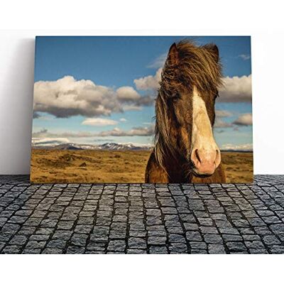 Big Box Art Horse in The Field Landscape Canvas Print Gallery Wrapped 30mm Frame Wall Art 30x20 inches Ready to Hang Modern Animals Picture Living Room Bedroom Lounge Office Big Box Art Horse in The Field Landscape Canvas Print Gallery Wrapped 30mm Frame Wall Art 30x20 inches Ready to Hang Modern Animals Picture Living Room Bedroom Lounge Office