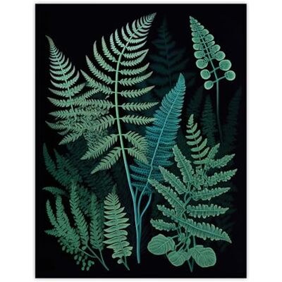 Wee Blue Coo Elegant Fern Fronds Botanical Nature Foliage Artwork Teal Blue Green on Black Extra Large XL Wall Art Poster Print Wee Blue Coo Elegant Fern Fronds Botanical Nature Foliage Artwork Teal Blue Green on Black Extra Large XL Wall Art Poster Print