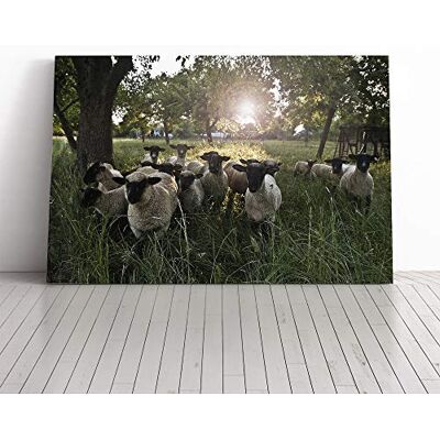 Big Box Art Sheep Flock (1) Canvas Print Gallery Wrapped 30mm Frame Wall Art 30x20 inches Ready to Hang Modern Animals Picture Living Room Bedroom Lounge Office Big Box Art Sheep Flock (1) Canvas Print Gallery Wrapped 30mm Frame Wall Art 30x20 inches Ready to Hang Modern Animals Picture Living Room Bedroom Lounge Office