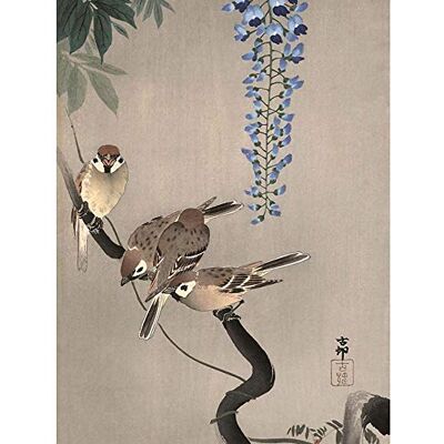 Wee Blue Coo Japan Nature Sparrow Bird Flower Shoson Ohara Art Print Poster Wall Decor 12X16 Inch Wee Blue Coo Japan Nature Sparrow Bird Flower Shoson Ohara Art Print Poster Wall Decor 12X16 Inch
