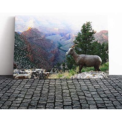 Big Box Art Mountain Sheep Landscape Canvas Print Gallery Wrapped 30mm Frame Wall Art 20x14 inches Ready to Hang Modern Animals Picture Living Room Bedroom Lounge Office Big Box Art Mountain Sheep Landscape Canvas Print Gallery Wrapped 30mm Frame Wall Art 20x14 inches Ready to Hang Modern Animals Picture Living Room Bedroom Lounge Office