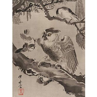 Fine Art Prints Kyosai Owl Mocked Small Birds Japan Painting Large Wall Art Poster Print Thick Paper 18X24 Inch Fine Art Prints Kyosai Owl Mocked Small Birds Japan Painting Large Wall Art Poster Print Thick Paper 18X24 Inch