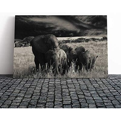 Big Box Art Elephant Vol.4 Canvas Print Gallery Wrapped 30mm Frame Wall Art 30x20 inches Ready to Hang Modern Animals Picture Living Room Bedroom Lounge Office Big Box Art Elephant Vol.4 Canvas Print Gallery Wrapped 30mm Frame Wall Art 30x20 inches Ready to Hang Modern Animals Picture Living Room Bedroom Lounge Office