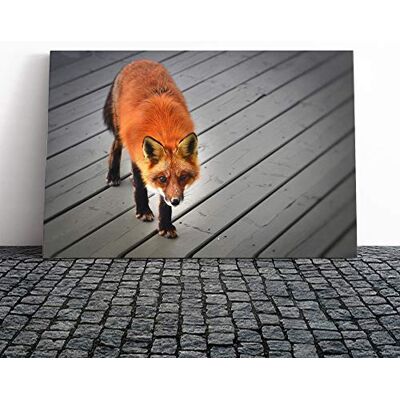 Big Box Art Red Fox Canvas Print Gallery Wrapped 30mm Frame Wall Art 24x16 inches Ready to Hang Modern Animals Picture Living Room Bedroom Lounge Office Big Box Art Red Fox Canvas Print Gallery Wrapped 30mm Frame Wall Art 24x16 inches Ready to Hang Modern Animals Picture Living Room Bedroom Lounge Office