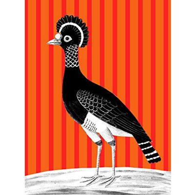 Wee Blue Coo Tall Birds On Stripes Carafson Hen Premium Wall Art Canvas Print 18X24 Inch Wee Blue Coo Tall Birds On Stripes Carafson Hen Premium Wall Art Canvas Print 18X24 Inch