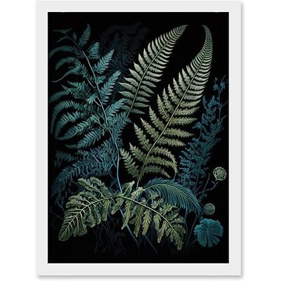 Artery8 - Ernst Haeckel Fern Fronds - Framed - A4 - Wall Art Artery8 - Ernst Haeckel Fern Fronds - Framed - A4 - Wall Art