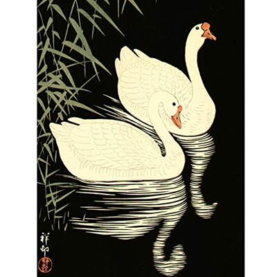 Wee Blue Coo Japan Nature Swan Reflect Shoson Ohara Large Art Print Poster Wall Decor 18x24 inch Wee Blue Coo Japan Nature Swan Reflect Shoson Ohara Large Art Print Poster Wall Decor 18x24 inch