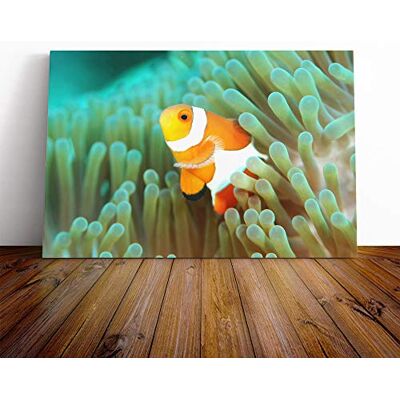 Big Box Art Clownfish Clown Fish Vol.3 Canvas Print Gallery Wrapped 30mm Frame Wall Art 20x14 inches Ready to Hang Modern Animals Picture Living Room Bedroom Lounge Office Big Box Art Clownfish Clown Fish Vol.3 Canvas Print Gallery Wrapped 30mm Frame Wall Art 20x14 inches Ready to Hang Modern Animals Picture Living Room Bedroom Lounge Office