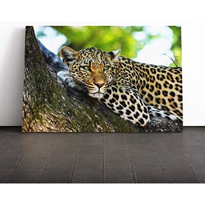 Big Box Art Leopard Vol.5 Canvas Print Gallery Wrapped 30mm Frame Wall Art 30x20 inches Ready to Hang Modern Animals Picture Living Room Bedroom Lounge Office Big Box Art Leopard Vol.5 Canvas Print Gallery Wrapped 30mm Frame Wall Art 30x20 inches Ready to Hang Modern Animals Picture Living Room Bedroom Lounge Office