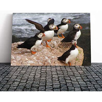 Big Box Art Atlantic Puffin Birds Canvas Print Gallery Wrapped 30mm Frame Wall Art 24x16 inches Ready to Hang Modern Bird Picture Living Room Bedroom Lounge Office Big Box Art Atlantic Puffin Birds Canvas Print Gallery Wrapped 30mm Frame Wall Art 24x16 inches Ready to Hang Modern Bird Picture Living Room Bedroom Lounge Office