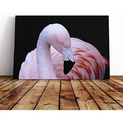 Big Box Art Pink Flamingo Bird (1) Canvas Print Gallery Wrapped 30mm Frame Wall Art 30x20 inches Ready to Hang Modern Animals Picture Living Room Bedroom Lounge Office Big Box Art Pink Flamingo Bird (1) Canvas Print Gallery Wrapped 30mm Frame Wall Art 30x20 inches Ready to Hang Modern Animals Picture Living Room Bedroom Lounge Office