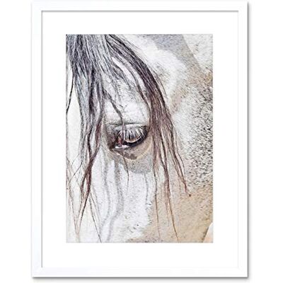 Wee Blue Coo Photo Nature Animal Close Up Andalusian Horse Framed Wall Art Print Wee Blue Coo Photo Nature Animal Close Up Andalusian Horse Framed Wall Art Print