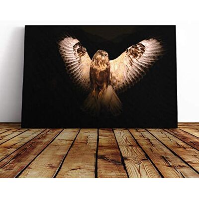 Big Box Art Owl Bird (7) Canvas Print Gallery Wrapped 30mm Frame Wall Art 24x16 inches Ready to Hang Modern Animals Picture Living Room Bedroom Lounge Office Big Box Art Owl Bird (7) Canvas Print Gallery Wrapped 30mm Frame Wall Art 24x16 inches Ready to Hang Modern Animals Picture Living Room Bedroom Lounge Office